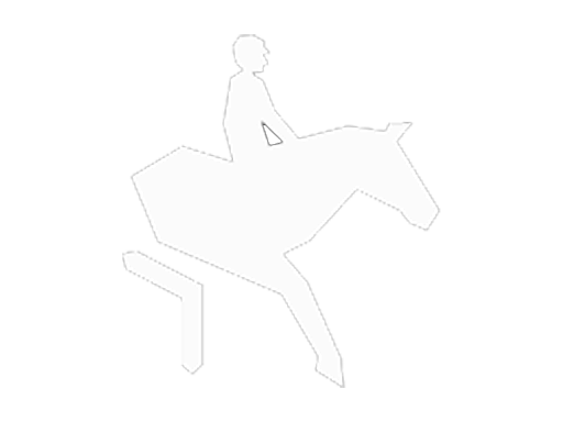 Lovastusa
