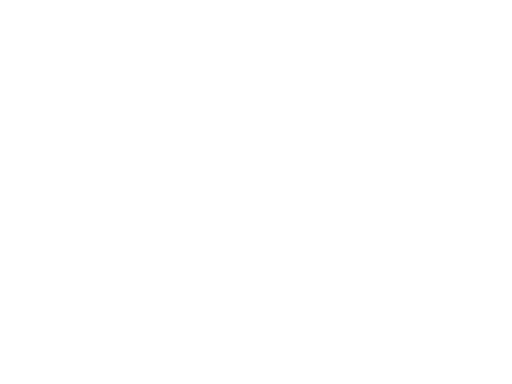 Stallions