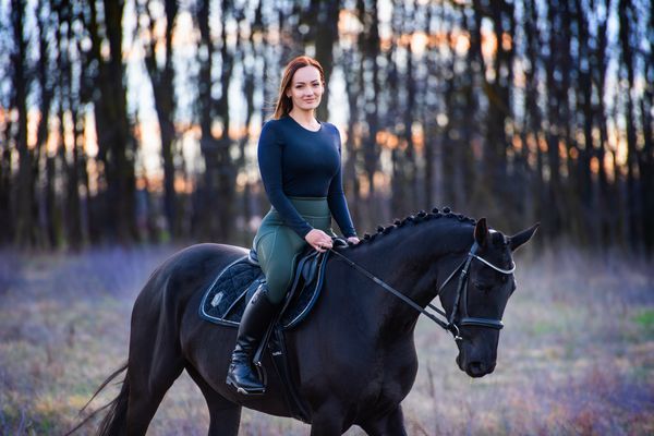 Horses and owners