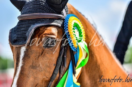 Gróf Széchenyi Istvan Memorial CSI3*-W, CSI*, CSIYH Budapest 