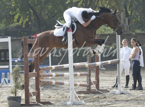2003. Nemzeti Lovarda "B" kat.