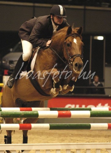 2003. Stadthalle