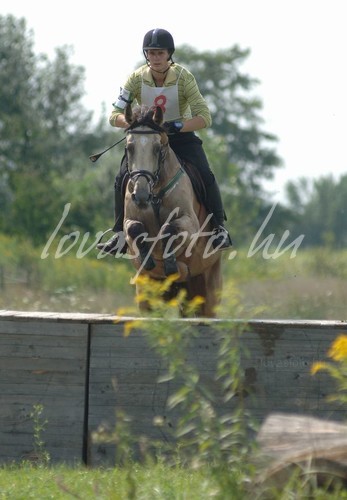 2008. Pápa
