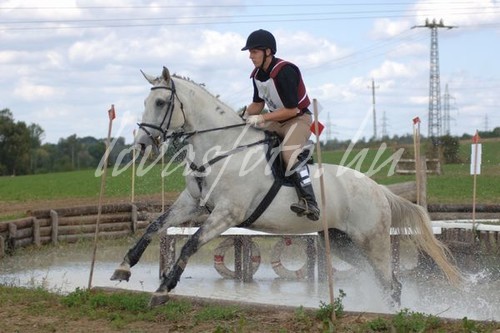 Kaposvár 2008.