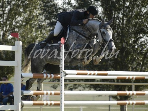 Championatus 2004.