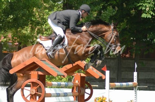CSIO***W 2008. Kiskunhalas