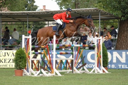 CSIO***W Kiskunhalas 2006.