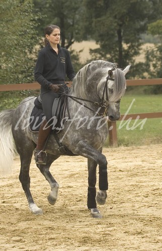 Epona Spanyol Lovasiskola 