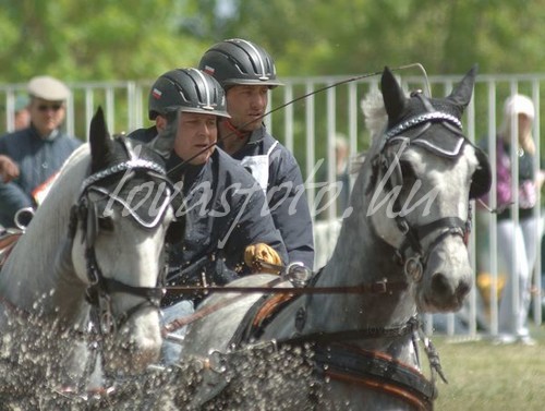 Fábiánsebestyén 2009.