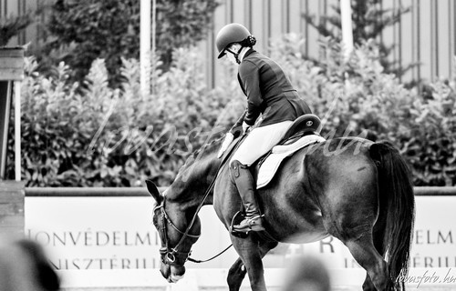 Díjlovagló Championatus 2024.