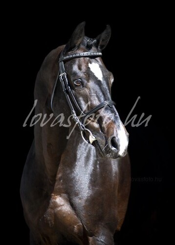 Lux V
